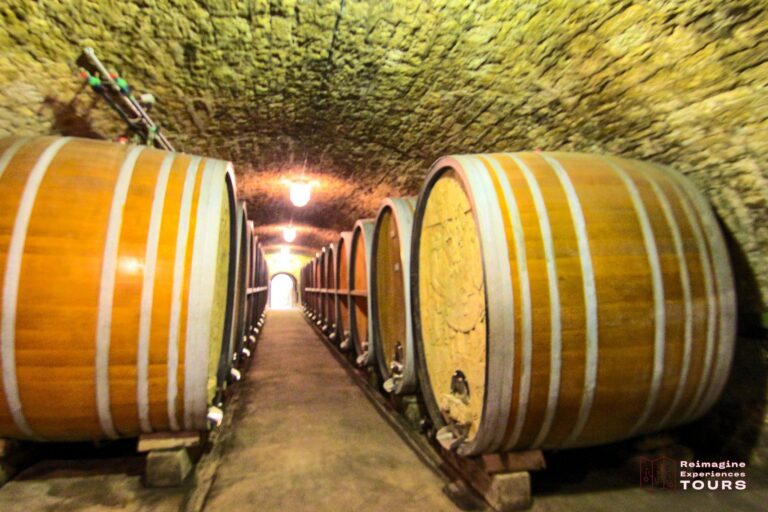 Reimagine Tours® Sunday Wine Cellar Tour + Wine Pass Wine Upgrade