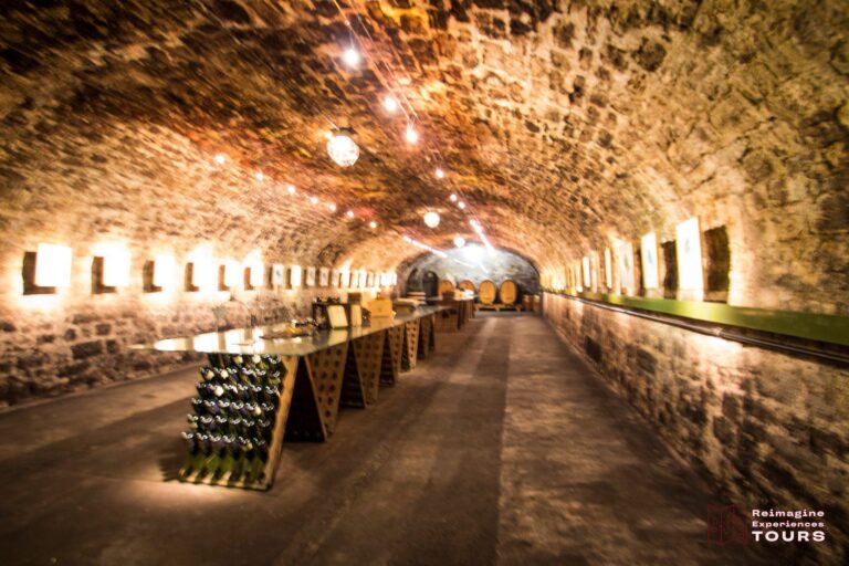 Private Winery Tour (Franconia Region)